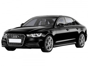 taxi vianen fleet