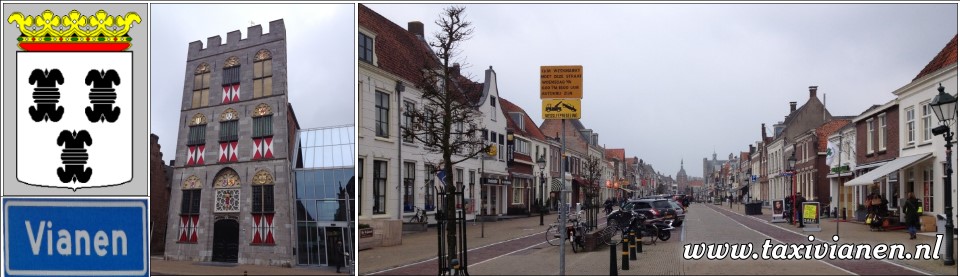 Taxi Centrale Vianen
